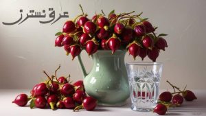 عرق نسترن