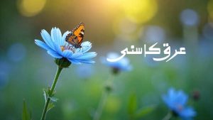 عرق کاسنی فروشگاه گلاب و عرقیات سولین