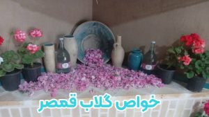 خواص گلاب قمصر